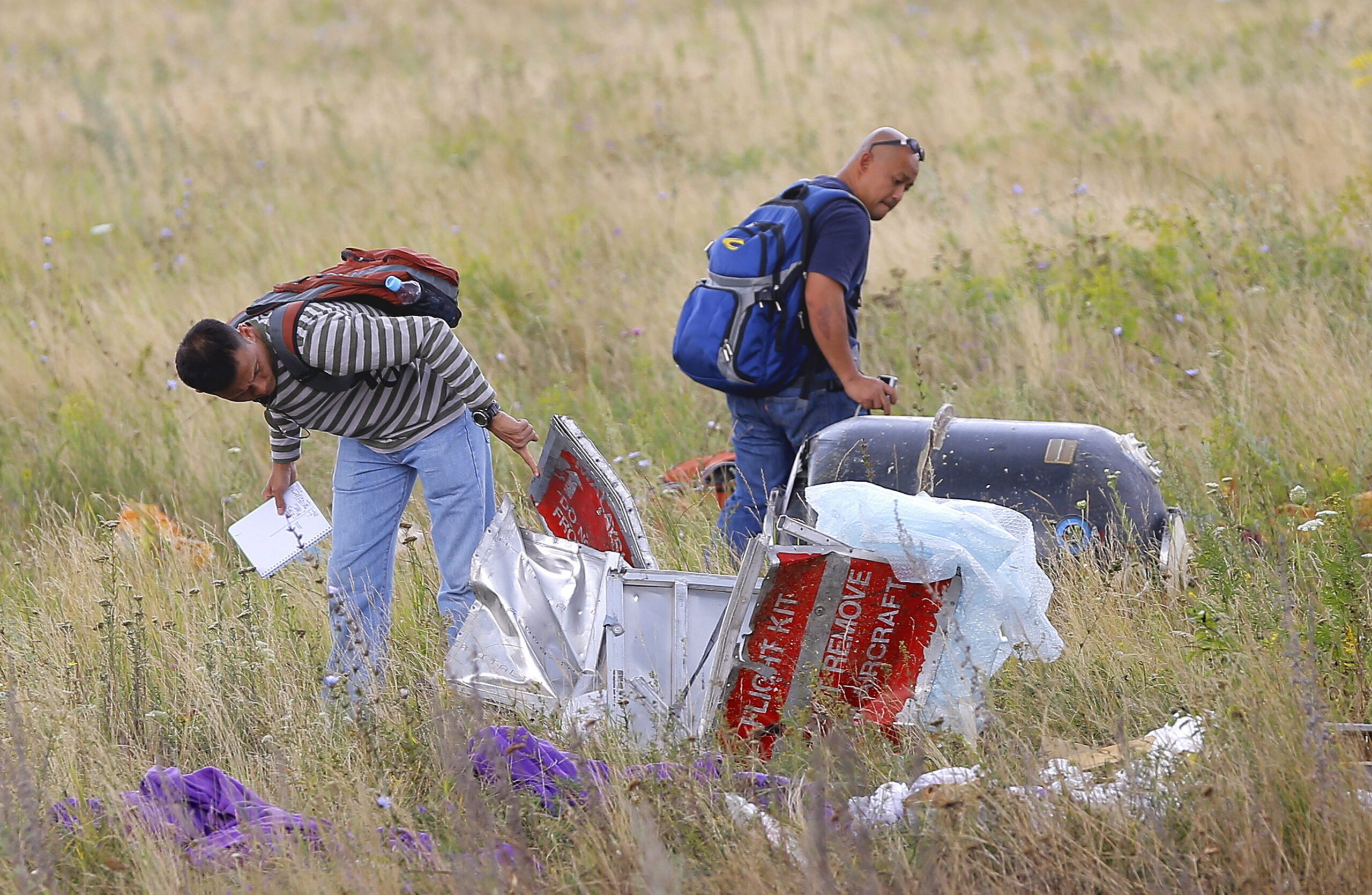 Malaysia Airlines plane crashes in eastern Ukraine
